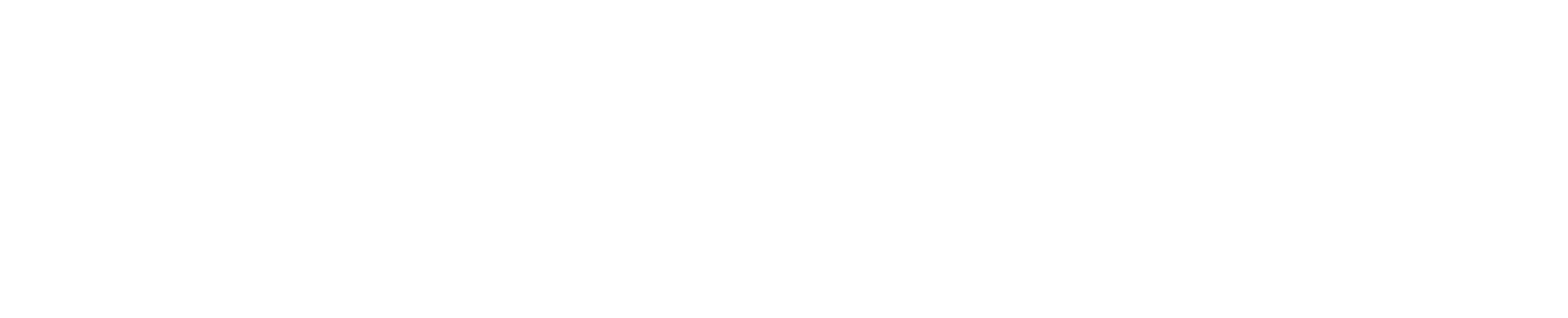 pro akustik